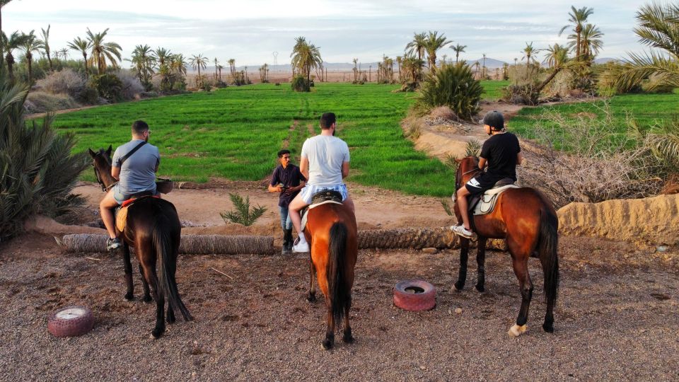 Activités à Marrakech cheval à marrakech