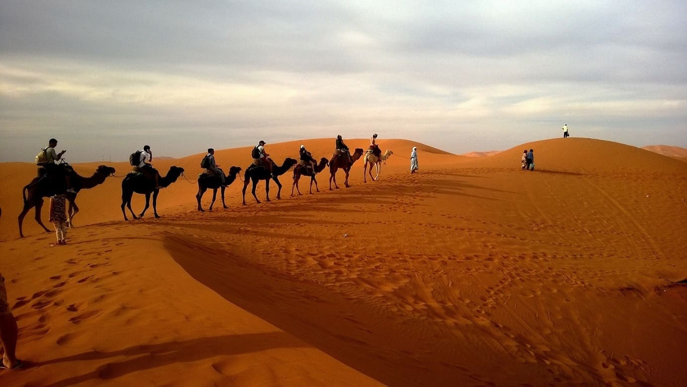 Sahara Excursions moroccan sahara caravan